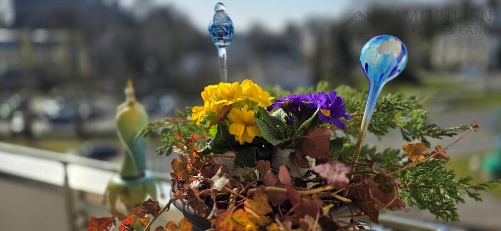 Detail Etagenwohnung H�ckeswagen